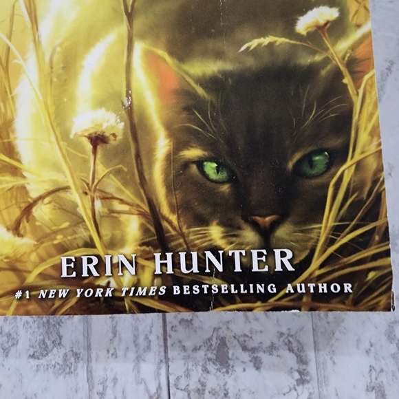 Warriors: Omen Of The Stars #1 The Fourth Apprentice Book - Picture 3 of 11